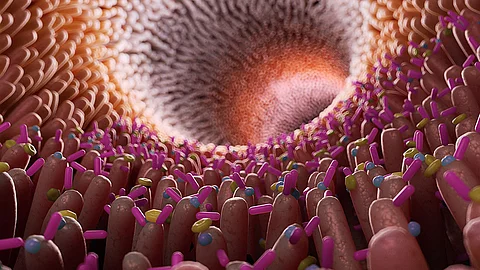 Animation der Darmflora mit Bakterien