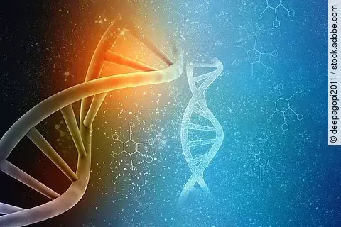 Illustration einer DNA-Struktur, Gen