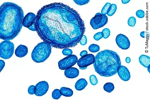 Mpox-Viren blau auf weißem Hintergrund