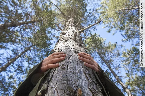 Sicht von unten, wie eine Frau einen Baum umarmt. 