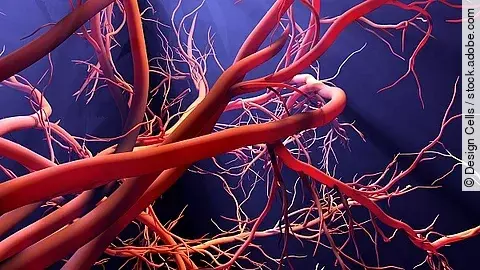 Illustration von Blutgefäßen auf blauem Hintergrund. 