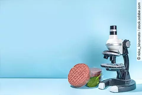 Laborfleisch: Ein Mikroskop und veganes Hack in einer Petrischale Laborfleisch: Ein Mikroskop und veganes Hack in einer Petrischale