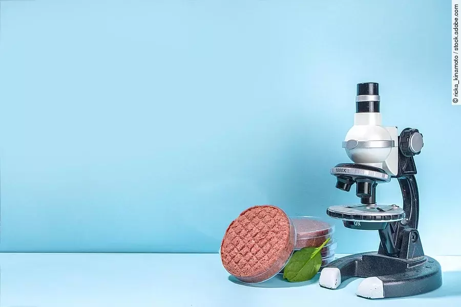 Laborfleisch: Ein Mikroskop und veganes Hack in einer Petrischale