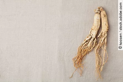 2 Ginseng-Wurzeln auf einem Leinentuch