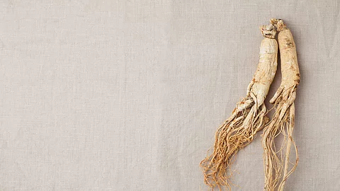2 Ginseng-Wurzeln auf einem Leinentuch 2 Ginseng-Wurzeln auf einem Leinentuch