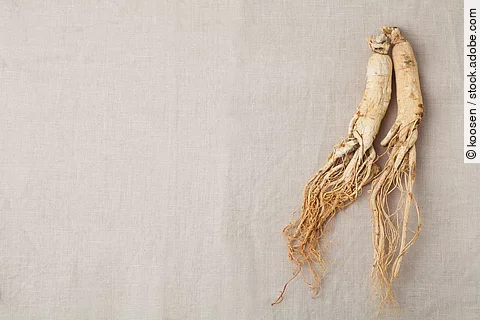 2 Ginseng-Wurzeln auf einem Leinentuch