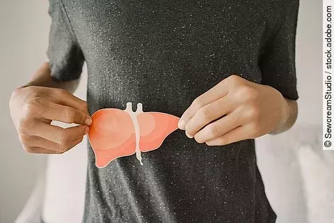 Mann hält ein Lebermodell vor der rechten Seite seines Bauches