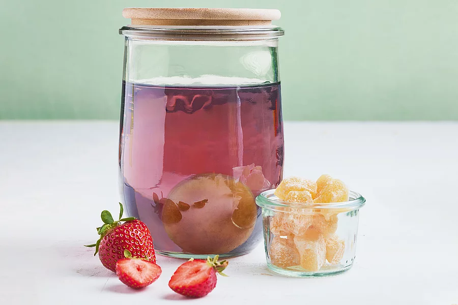 Kombucha