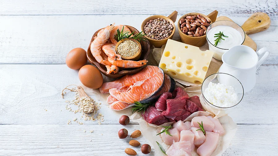Proteinreiche Nahrungsmittel Proteinreiche Nahrungsmittel: Fleisch, Käse, Milchprodukte, Nüsse, Hülsenfrüchte