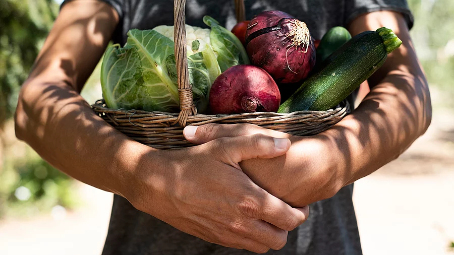 Ein Mann hält einen Korb mit frisch geerntetem Gemüse Ein Mann hält einen Korb mit frisch geerntetem Gemüse