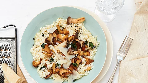 Waldpilzrisotto