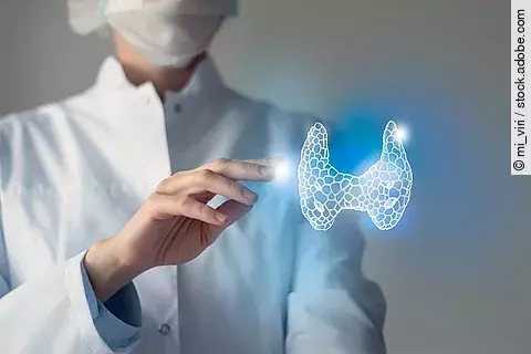 Arzt streckt die Hand nach der 3D-Illustration einer menschlichen Schilddrüse aus.