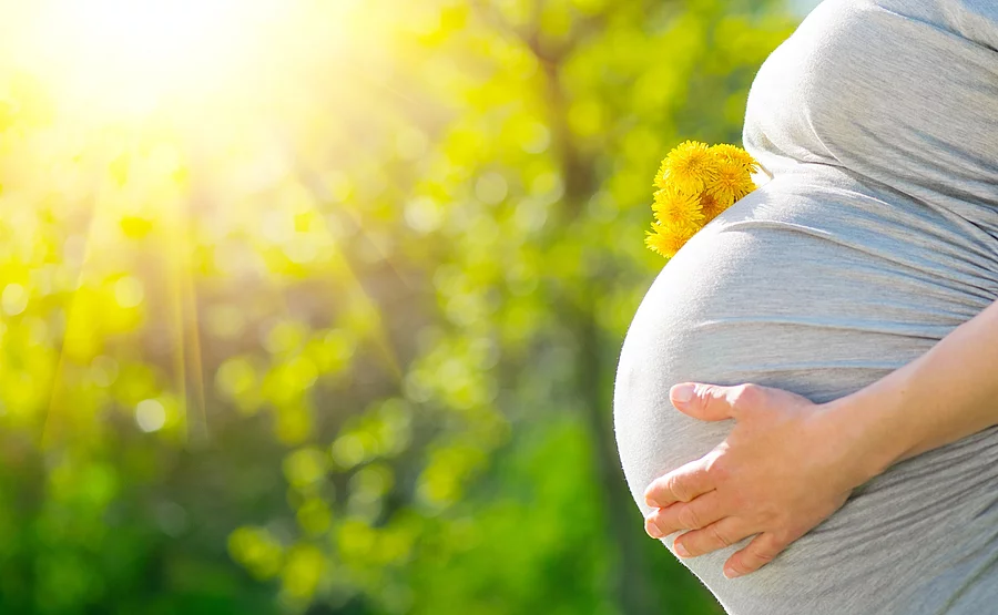 Bauch einer Schwangeren Frau. Im Hintergrund sind Bäume und die Sonne.