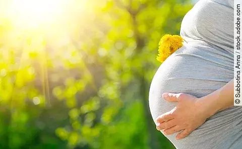 Bauch einer Schwangeren Frau. Im Hintergrund sind Bäume und die Sonne.