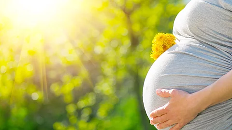 Bauch einer Schwangeren Frau. Im Hintergrund sind Bäume und die Sonne.