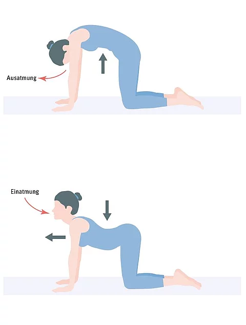 Cartoonzeichnung einer Frau, die die Yoga-Übungen Katze und Kuh macht.
