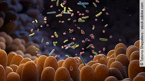 Grafik Mikrobiom: Darmzotten und verschiedenfarbige Mikroben