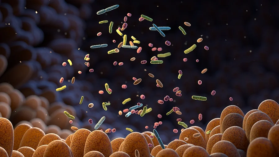 Grafik Mikrobiom: Darmzotten und verschiedenfarbige Mikroben