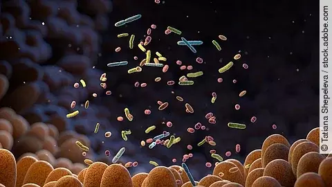 Grafik Mikrobiom: Darmzotten und verschiedenfarbige Mikroben