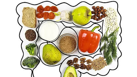 Obst, Gemüse, Nüsse und Vollkornprodukte, die in die Umrisse eines aufgemalten Darms gelegt sind.