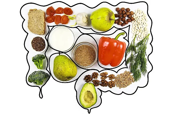 Obst, Gemüse, Nüsse und Vollkornprodukte, die in die Umrisse eines aufgemalten Darms gelegt sind.