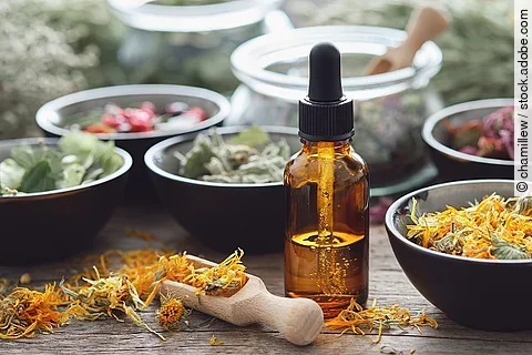 Dunkelbraune Flasche mit Pipettenaufsatz auf einem Holztisch. Um die Flasche sind verschiedene Heilpflanzen in Schalen auf dem Tisch..