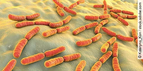 Grafik von Laktobazillen.