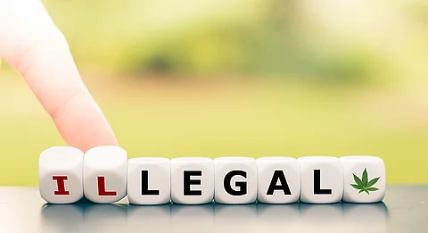 Würfel mit Buchstaben, die das Wort illegal oder legal bilden, ein Cannabisblatt ist auf dem letzten Würfel abgebildet.