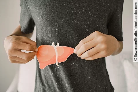 Mann hält eine Leber aus Papier vor seine "richtige" Leber.