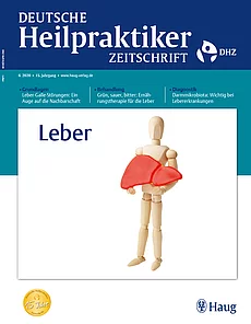 Cover DHZ 6/2020