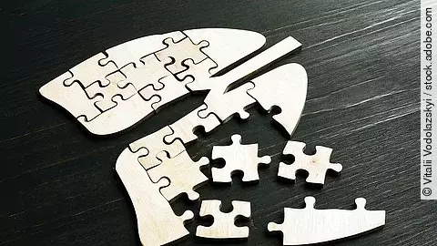 Lunge, Puzzle, Lungenerkrankung