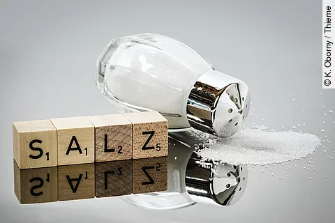 Salzstreuer mit Scrabble-Buchstabenreihe SALZ