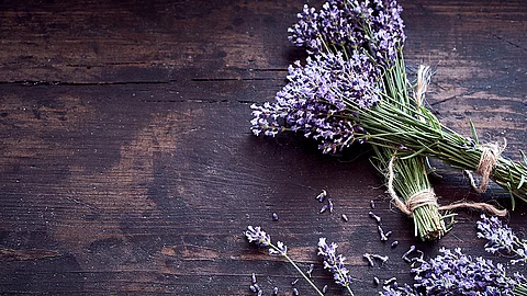 Ein blühender Strauß Lavendel sowie einzelne blühende Zweige auf einem dunkeln Holztisch