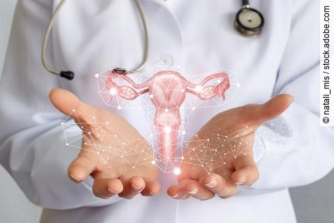 Ärztin präsentiert die Grafik eines Uterus.