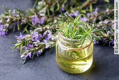 Rosmarinöl und frische Rosmarinzweige auf Holzuntergrund