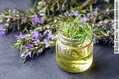 Rosmarinöl und frische Rosmarinzweige auf Holzuntergrund