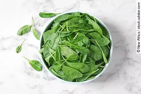 Frische Spinatblätter in einer Schüssel