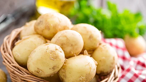 Kartoffeln in Korb mit kariertem Tuch