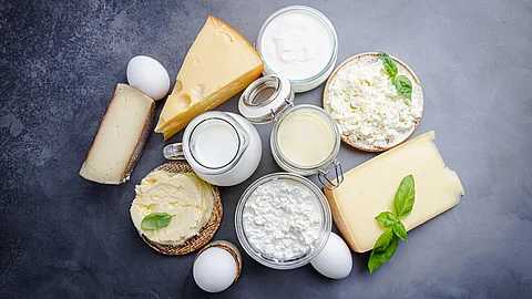 Proteinreiche Lebensmittel vor grauem Hintergrund: Milch, Käse, Joghurt, Quark, Butter, Eier
