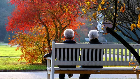 2 Senior*innen sitzen in herbstlichem Park auf einer Bank