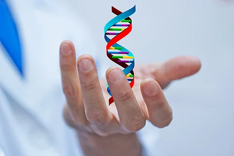 Gen-Matrik in Hand gehalten