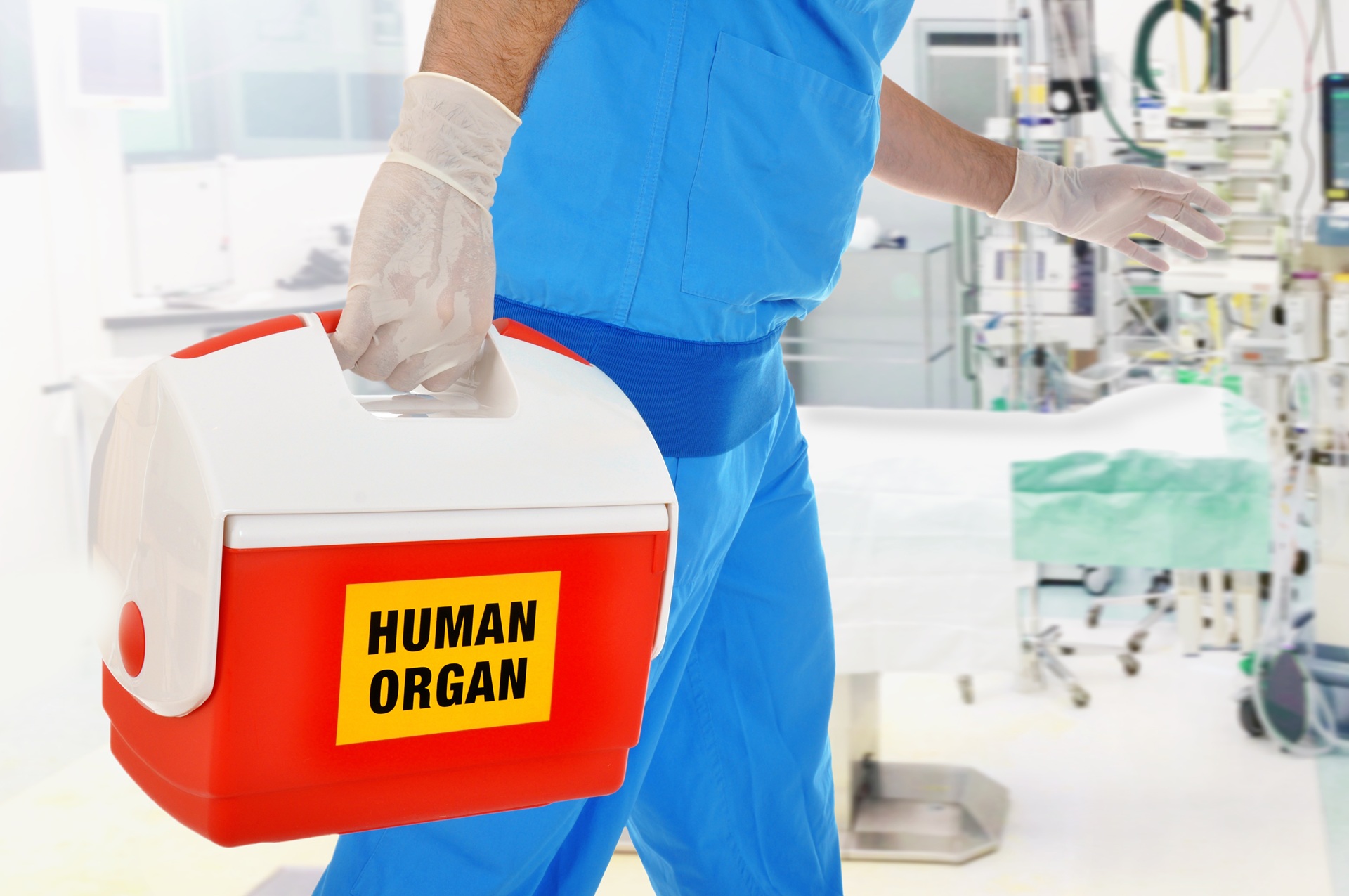 Ein Arzt trägt einen roten Koffer mit der Aufschrift HUMAN ORGAN