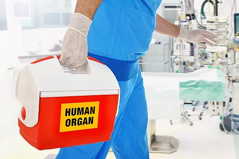 Ein Arzt trägt einen roten Koffer mit der Aufschrift HUMAN ORGAN