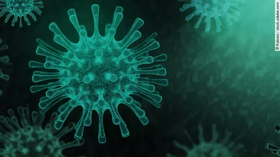 3D Modell eines Coronavirus