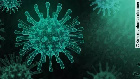 3D Modell eines Coronavirus