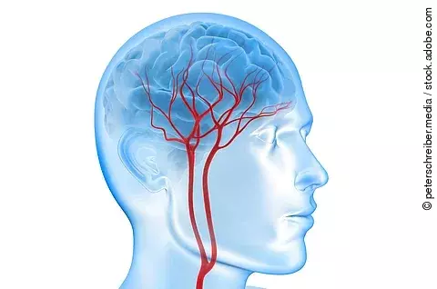 Illustration: Blauer Kopf vor weißem Hintergrund mit Blutgefäßen im Gehirn