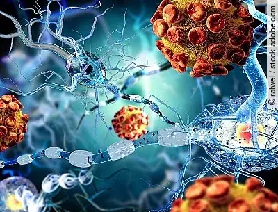 Nervenzellen, Illustration