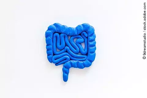 Darm aus blauer Knete geformt auf weißem Hintergrund.