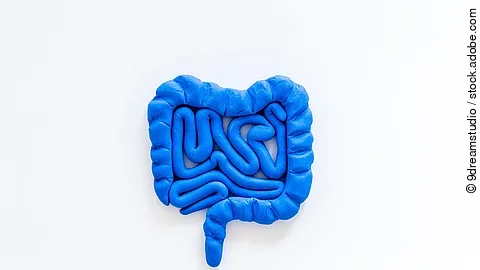 Darm aus blauer Knete geformt auf weißem Hintergrund.