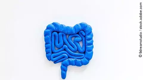 Darm aus blauer Knete geformt auf weißem Hintergrund.